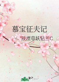《慕宝征夫记》