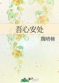 《吾心安处》