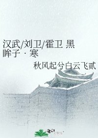 《汉武/刘卫/霍卫 黑眸子•寒眸子•火眸子 番外 霍卫 不信天》