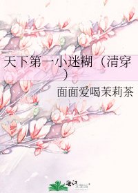 《天下第一小迷糊(清穿)》