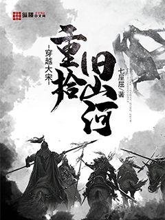 《穿越大宋重拾旧山河》