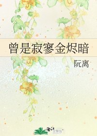《曾是寂寥金烬暗》
