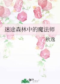 迷途森林中的魔法师