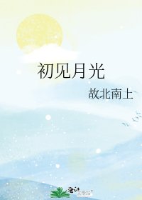 《初见月光》