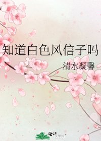 《知道白色风信子吗》