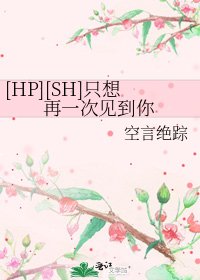 [HP][SH]只想再一次见到你