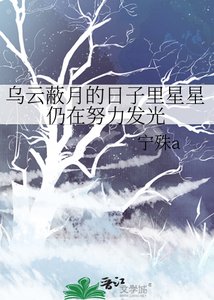 《乌云蔽月的日子里星星仍在努力发光》