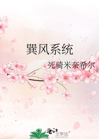 《巽风系统》