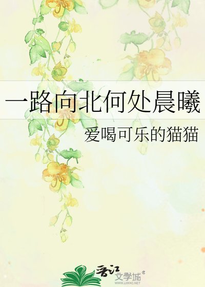 《一路向北何处晨曦》