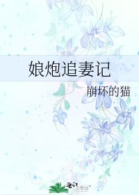 《娘炮追妻记》