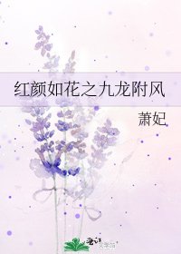 《红颜如花之九龙附风》