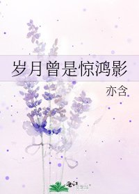 《岁月曾是惊鸿影》