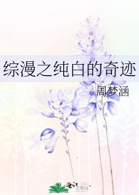 《综漫之纯白的奇迹》