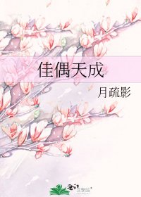 《佳偶天成》