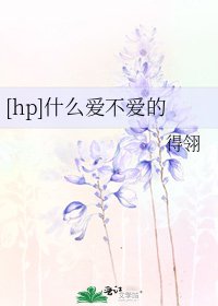 [hp]什么爱不爱的