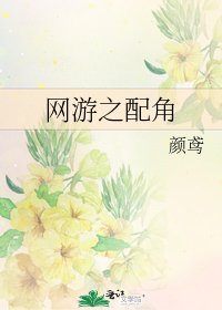《网游之配角》