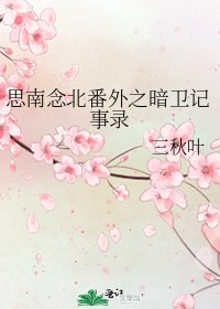 思南念北番外之暗卫记事录