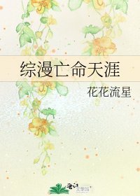 《综漫亡命天涯》