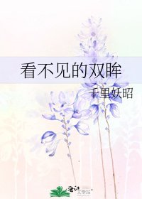 《看不见的双眸》