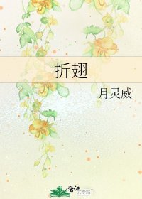 《折翅》
