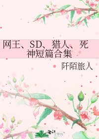 《网王、SD、猎人、死神短篇合集》