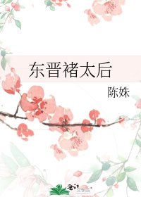 东晋褚太后