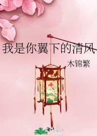 《我是你翼下的清风》