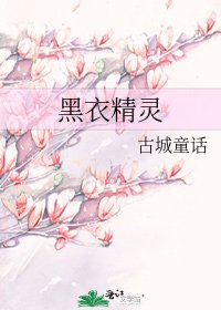 《黑衣精灵》