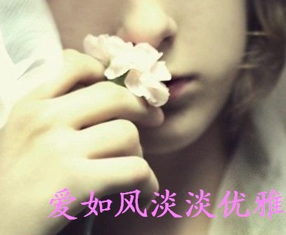 爱如风淡淡优雅
