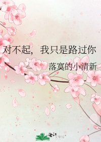 《对不起,我只是路过你》
