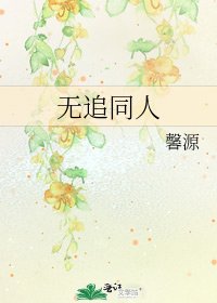 《无追同人》