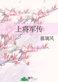 《上将军传》