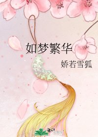 《如梦繁华》