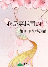 《我是穿越司的》