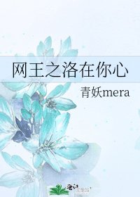 《网王之洛在你心》