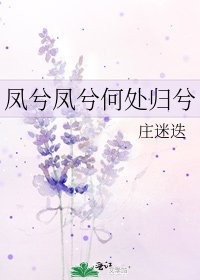 《凤兮凤兮何处归兮》