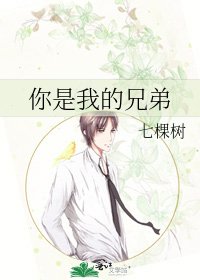 《你是我的兄弟》
