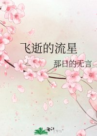 《飞逝的流星》