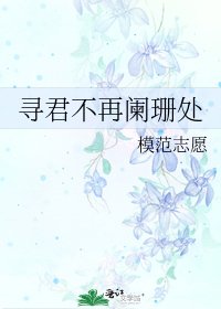 《寻君不再阑珊处》