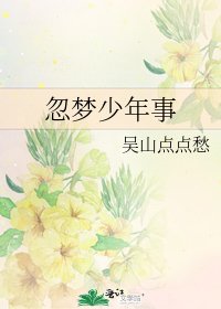 《忽梦少年事》