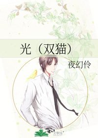 《光(双猫)》