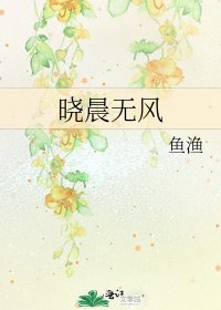 《晓晨无风》