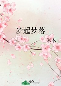 《梦起梦落》