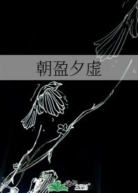《朝盈夕虚》