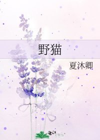 《野猫》
