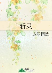 《斩灵》