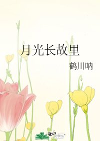 《月光长故里》