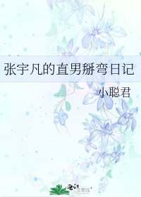 《张宇凡的直男掰弯日记》
