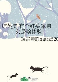 综英美 有个红头罩弟弟是啥体验