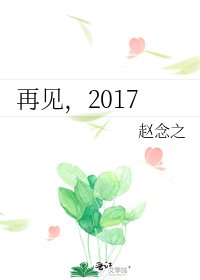 《再见,2017》